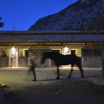 Horse riding in Greece for all riding levels and complete horse riding holiday weeks.