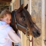 Horse riding in Greece for children and complete horse riding holiday weeks.