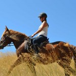 Horse riding in Greece for all riding levels and complete horse riding holiday weeks.