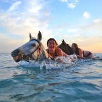 Swimming with horses at the guided trek of the Odysseia Stables.