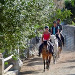 Horse riding into beautiful nature from the Country Hotel Velani in Crete