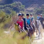 Horse riding in Greece for all riding levels and complete horse riding holiday weeks.